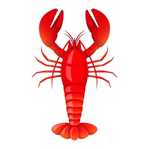 Old Navy Lobster Capris - Picture 8 of 15